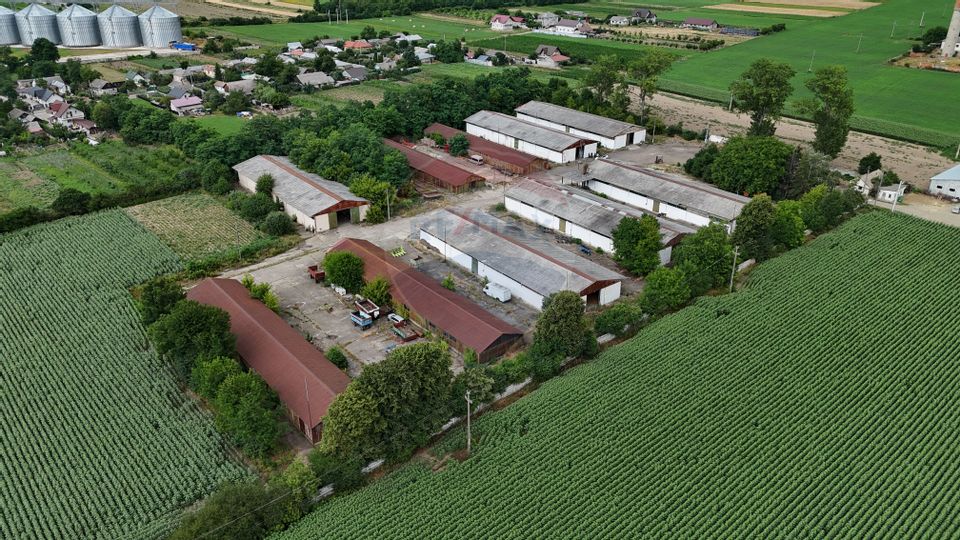 Platformă industrială 33.051 mp teren | 7.120 mp hale | Verești – SV