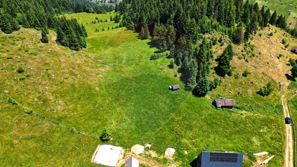 Teren de 7830mp de vanzare in Fundata! Comision 0%