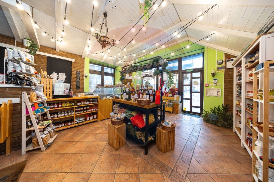 21 room Hotel / Pension for sale, Ultracentral area