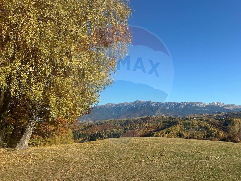 Investment opportunity ! Dream land in Pestera - 125,370 sqm