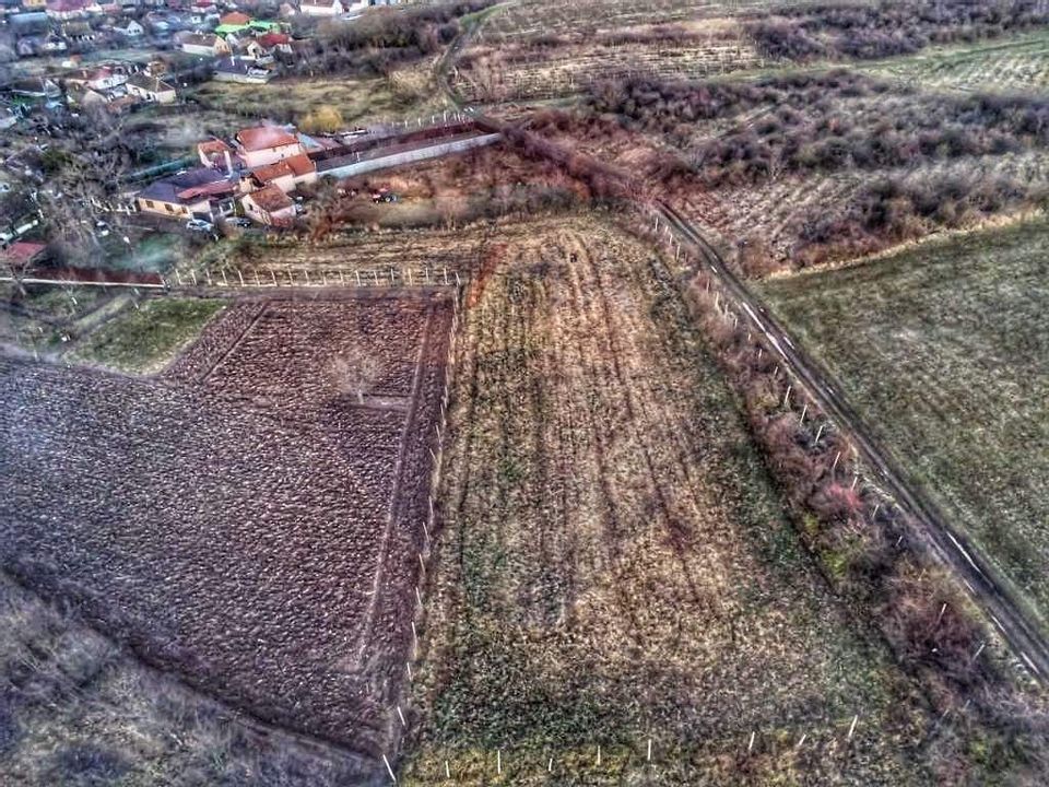 Land 1,200sqm Covasint / Strada Liliacului