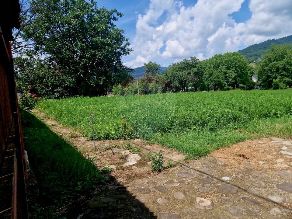 Teren intravilan 1000 mp – Viișoara, utilități