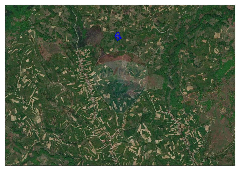 Land 10,059sqm Rosia / Strada Principala