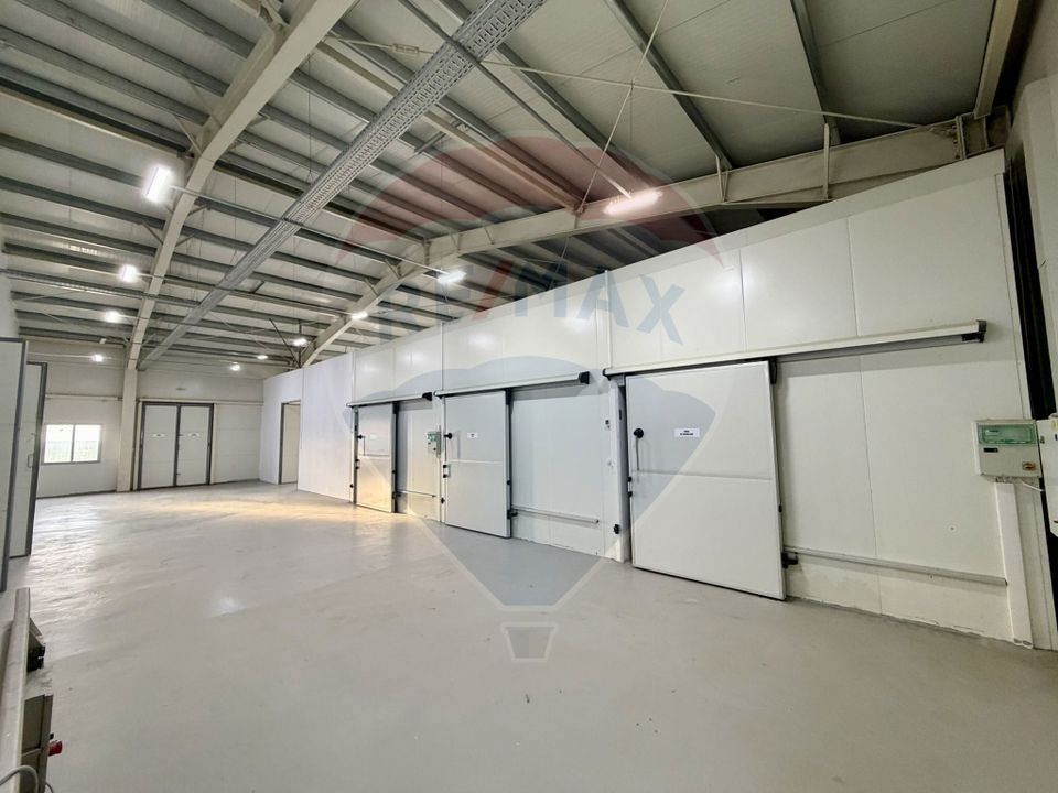 Teren agricol 13,1 ha + Hală 700 mp + Utilaje Agricole - Piscu, Galati