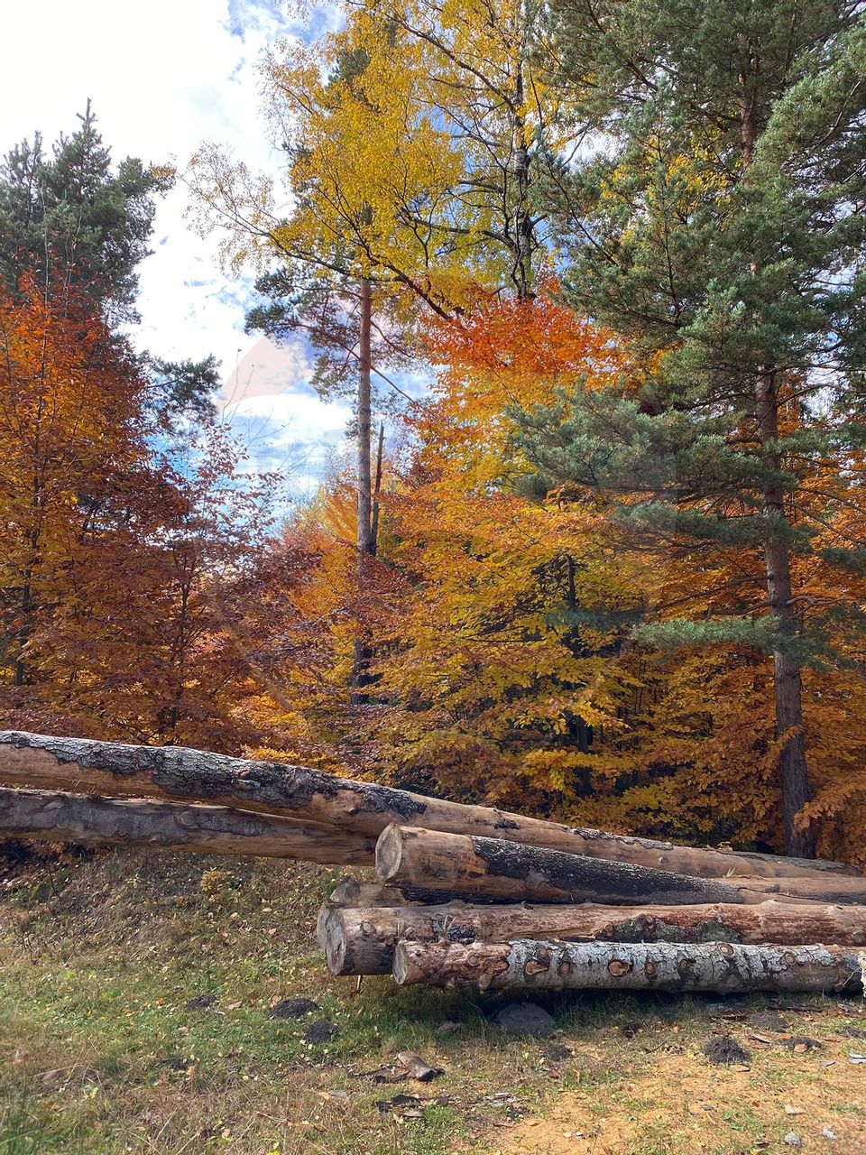 Guesthouse for sale | 12 rooms | Bisoca / Buzau