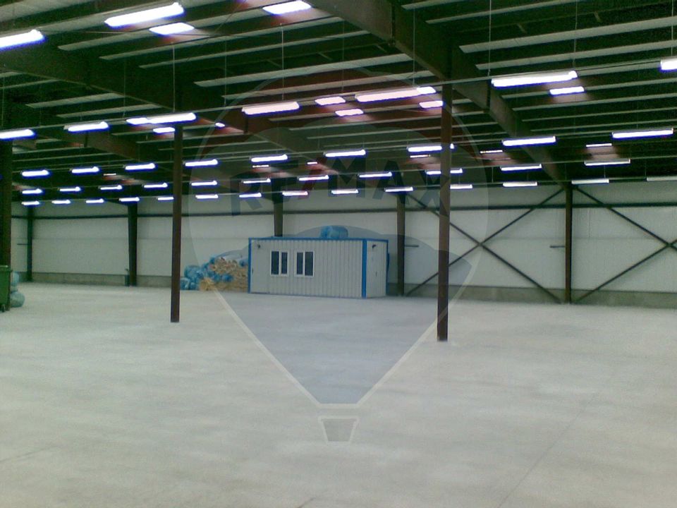 Industrial space Production or storage hall Branesti
