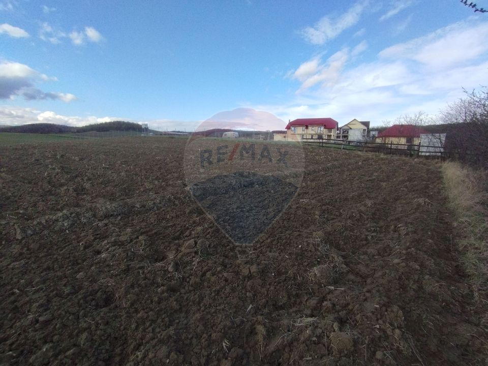 Teren Bodesti / Strada OSLOBENI LANGA MANASTIREA DUMBRAVELE