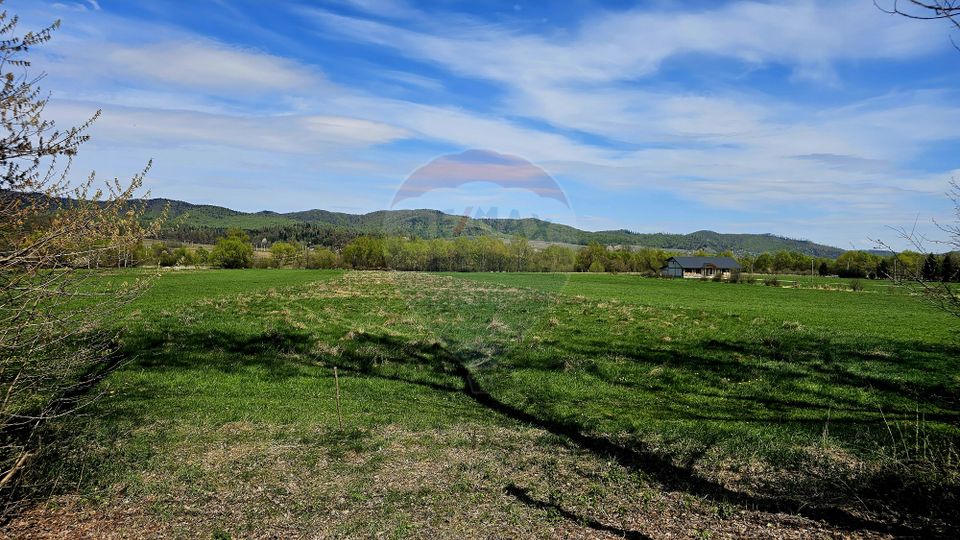 Land 10,000sqm Nemtisor / DJ 155C