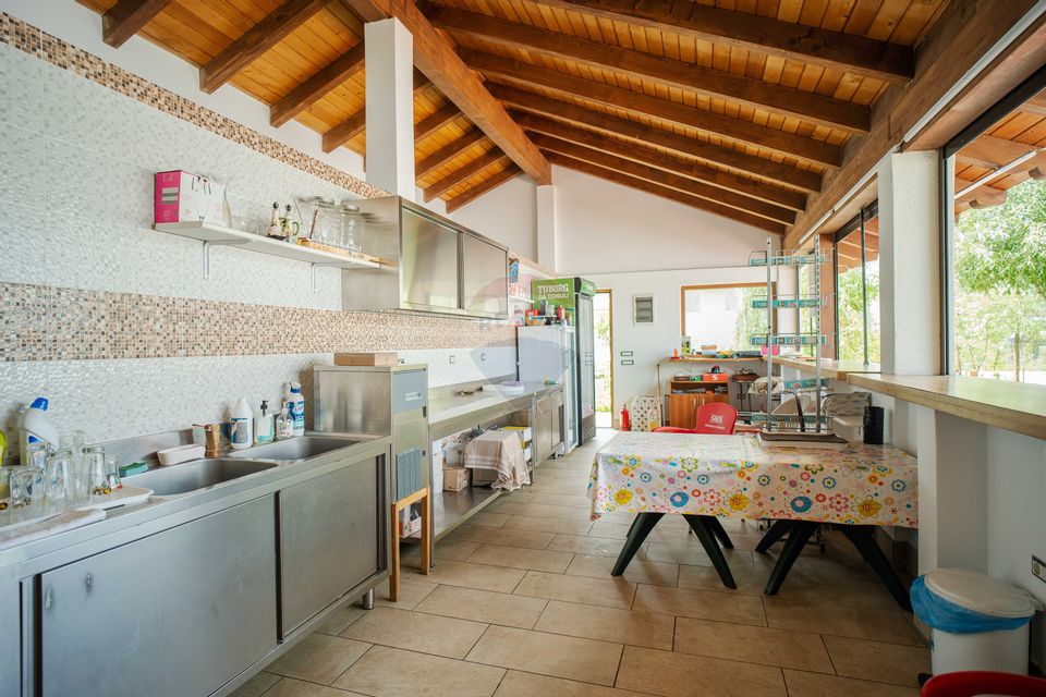 7 room Hotel / Pension for sale, Nord area