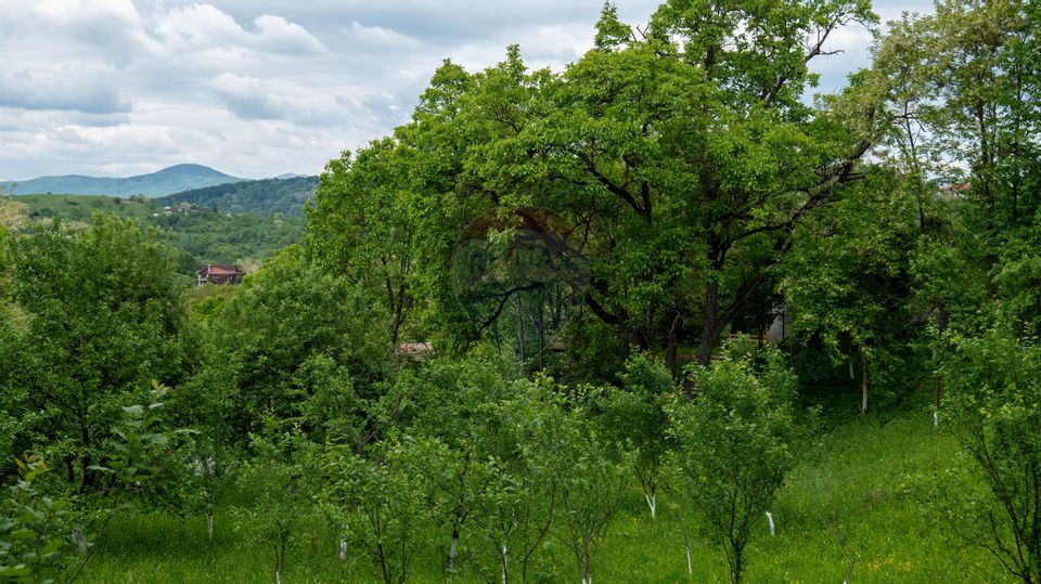 Vanzare teren intravilan in Breaza, cartierul Valea Tirsei 6870 mp