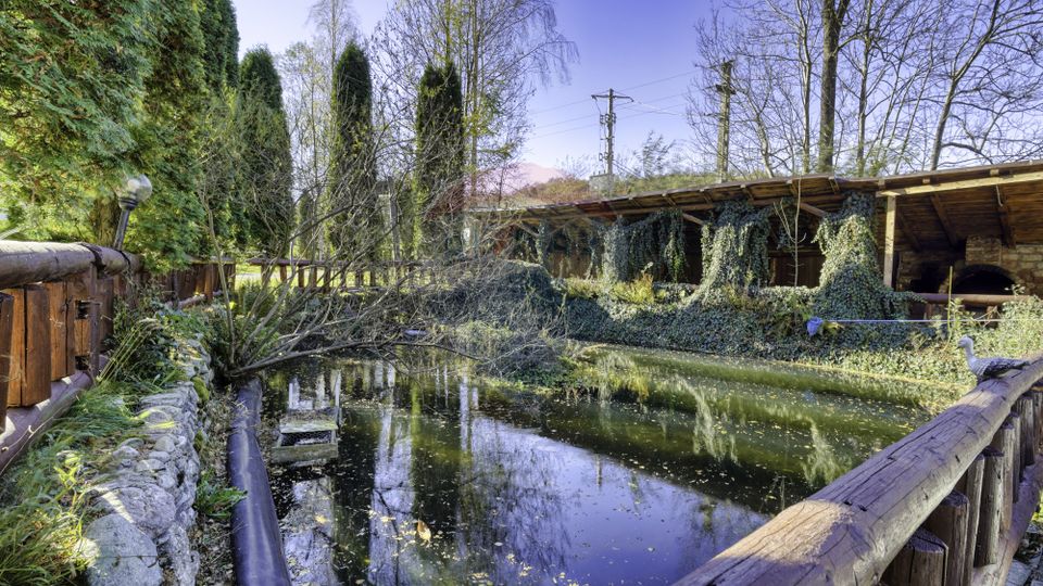 15 room Hotel / Pension for rent