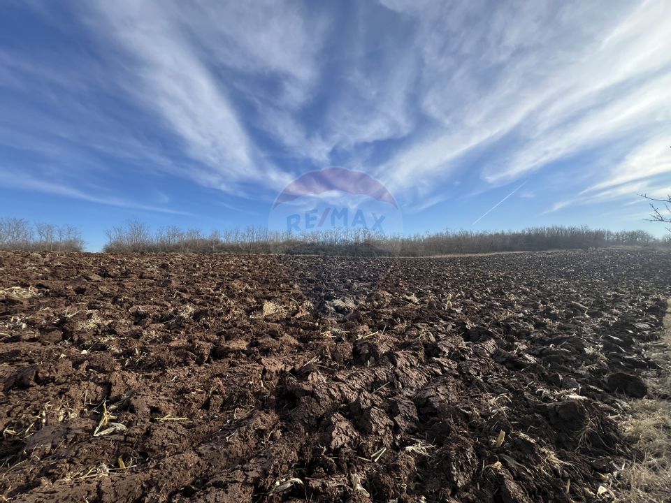 Land 10,000sqm Badeni / Strada Mică