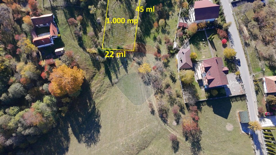 Teren de Vis în Bran – 1000mp Plat, Liniște Absolută și Aer Curat