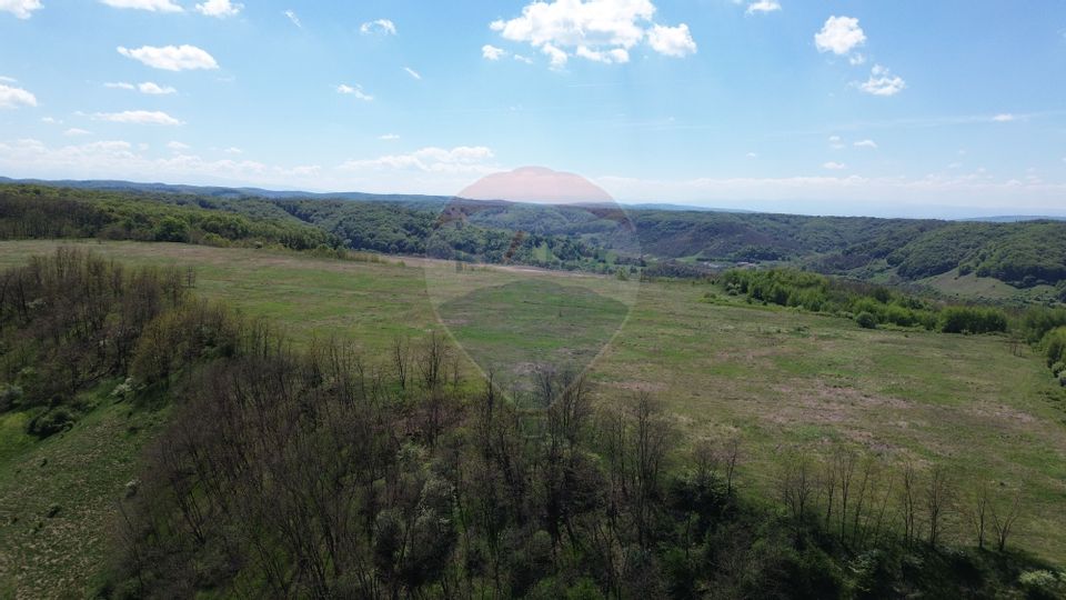 Land 659,000sqm Copsa Mica / DN 14