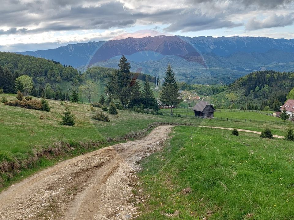 O fereastră către cer – teren de vis în Fundata, la poalele Bucegilor