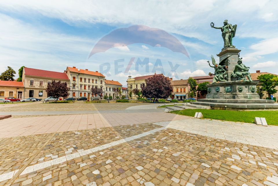 Apartament cu 1 camera la casa in zona ultracentrala