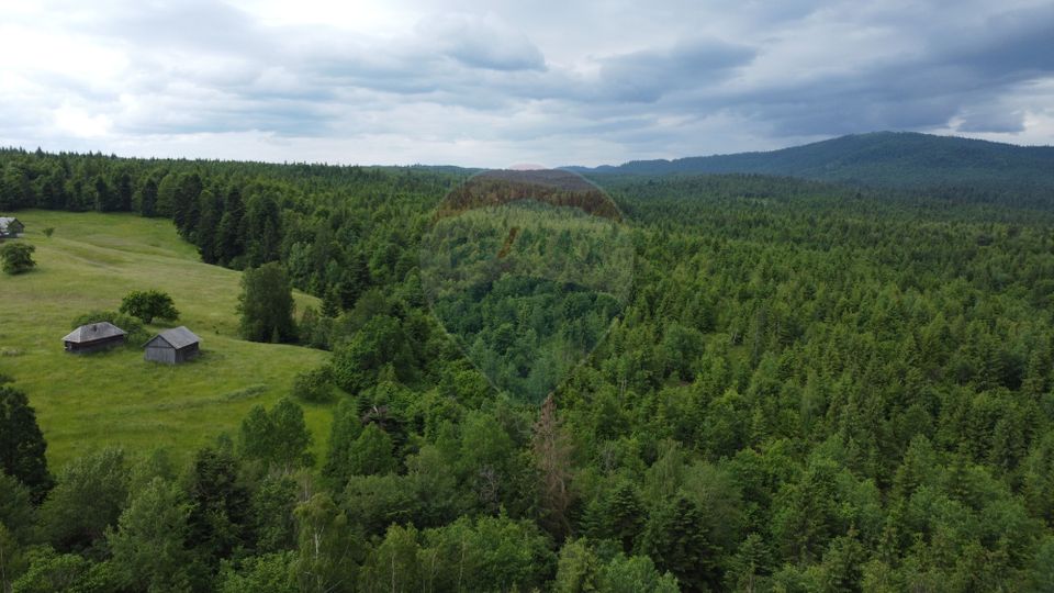 Land 8,119sqm Calatele / Strada Calatele Padure