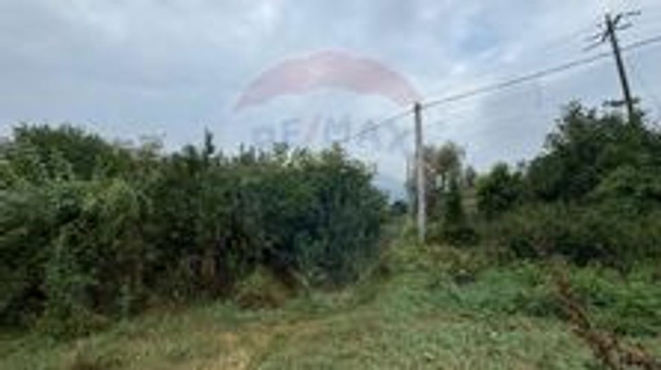 Teren 3542mp Campia Turzii COMISION 0%