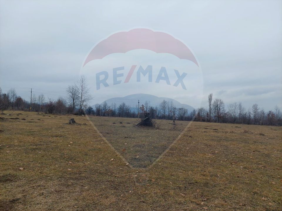 Land 11,400sqm Comanesti / Prelungirea Punct podina