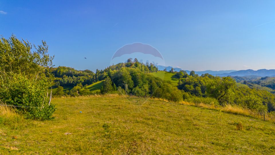 Teren extravilan 6,014mp | Holbav | BRASOV | COMISION 0|