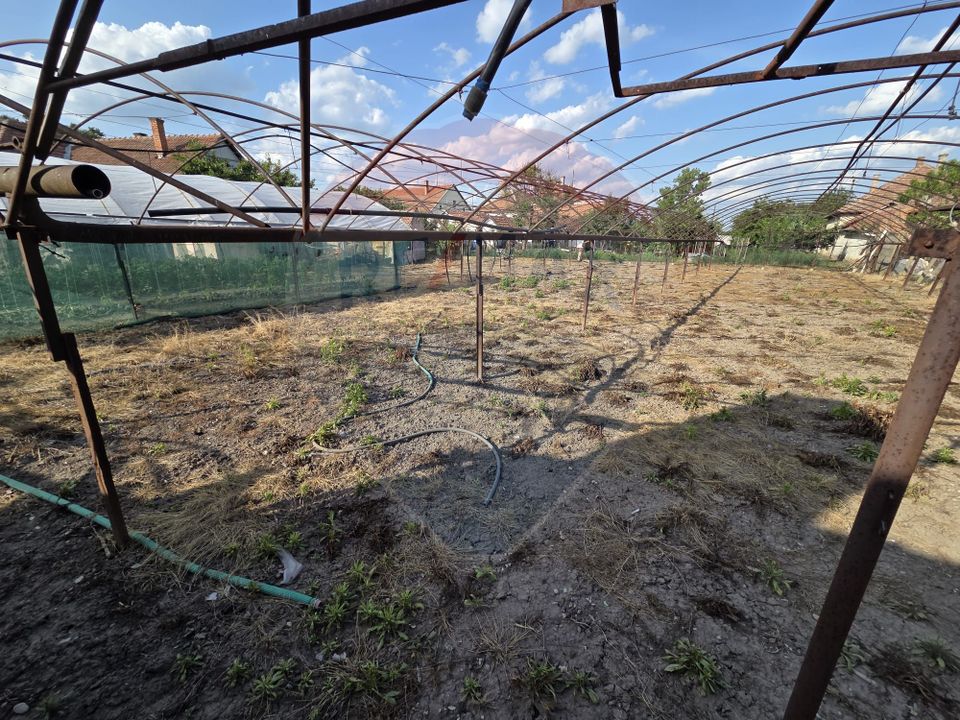 Casă cu gradina si solarii de legume