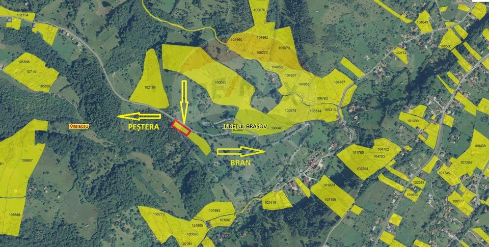 Teren extravilan, 2000 mp, Sat Peștera (com Moieciu)