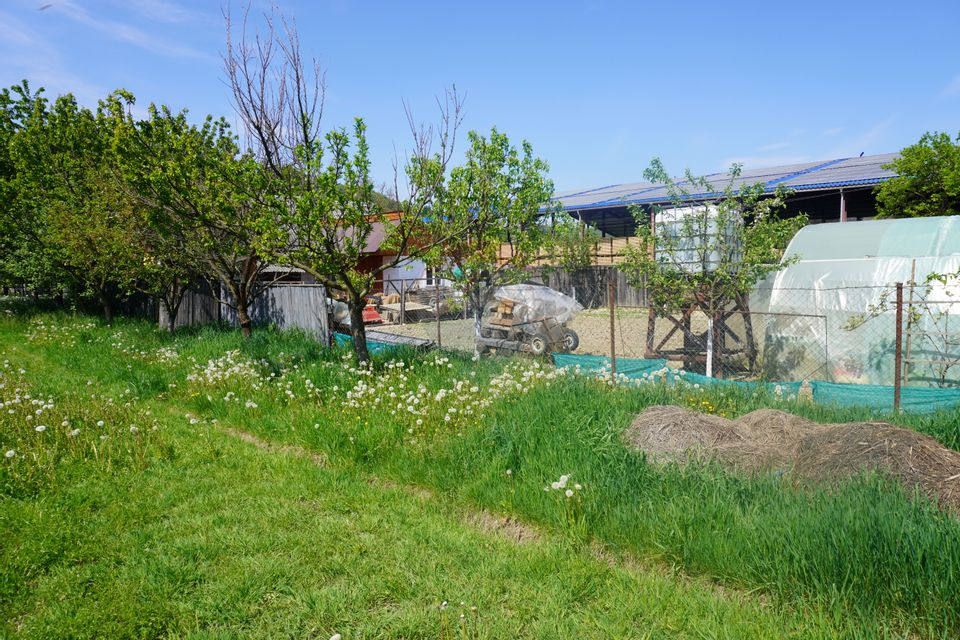 Teren 4,076mp Sarasau