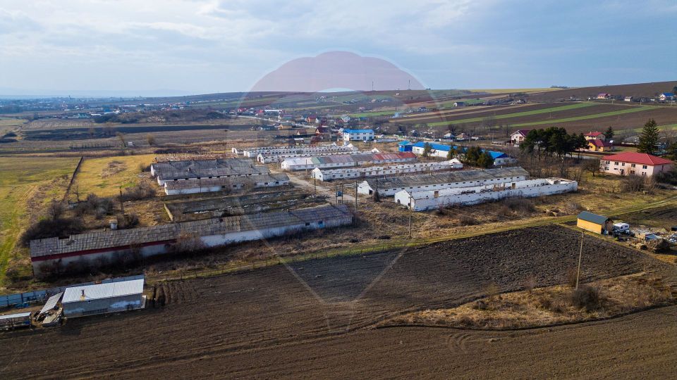 Teren  intravilan in sat Zapodia, com. Traian, jud. Bacău, 39.600mp,