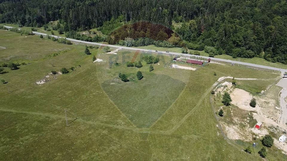 Land 5,561sqm Paltinoasa / Strada principala