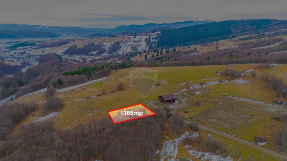 Teren 1,185 mp Teliu / Extravilan