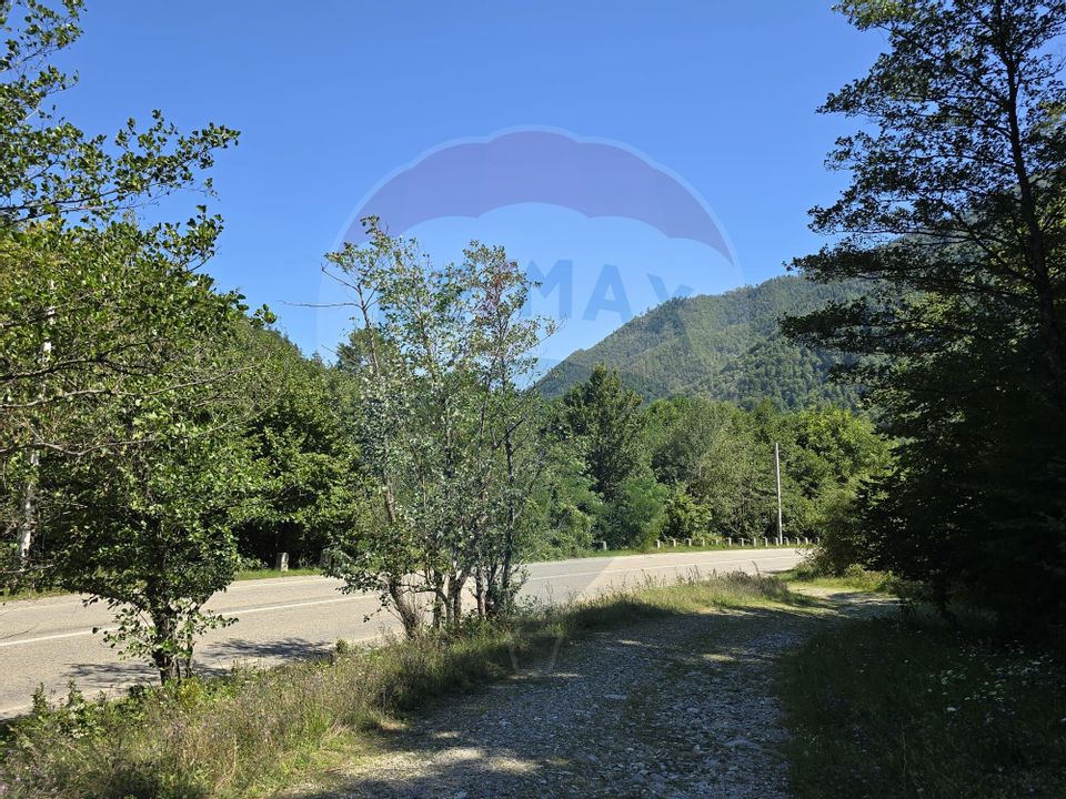 Teren 4,000mp Pascoaia / Soseaua Punctul Chiliilor