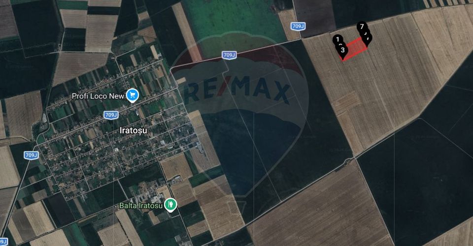 Teren extravilan 46,300mp Curtici