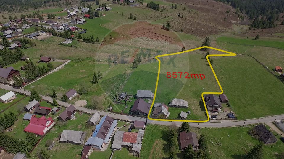 Land 8,572sqm Balcesti (Belis) / Strada Principala