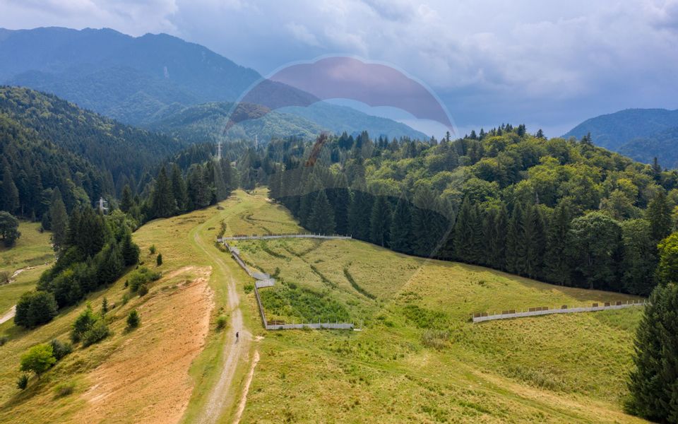 Teren Dâmbul Morii, 1000mp, toate utilitățile, la marginea pădurii