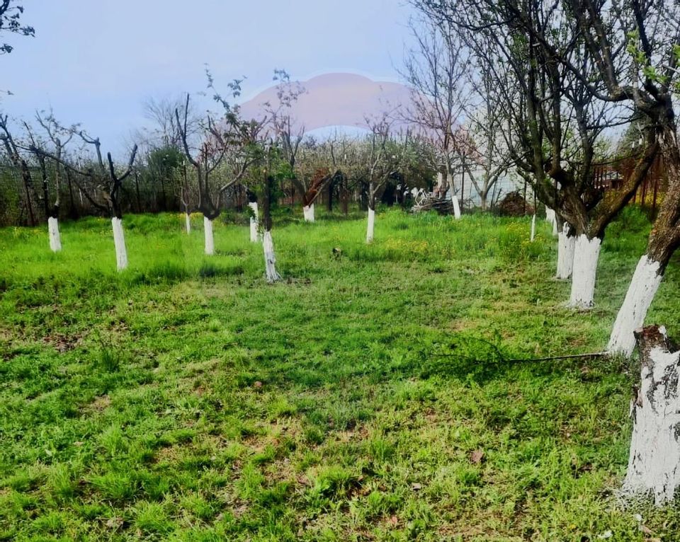 Casă de vânzare cu livadă și piscină – Giurgiu