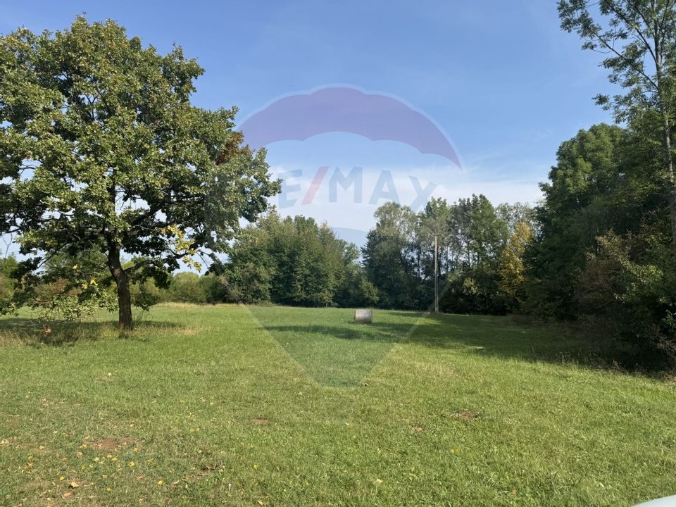 Teren 10.000 mp Calatele – Apuseni, langa rau, ideal investie turism