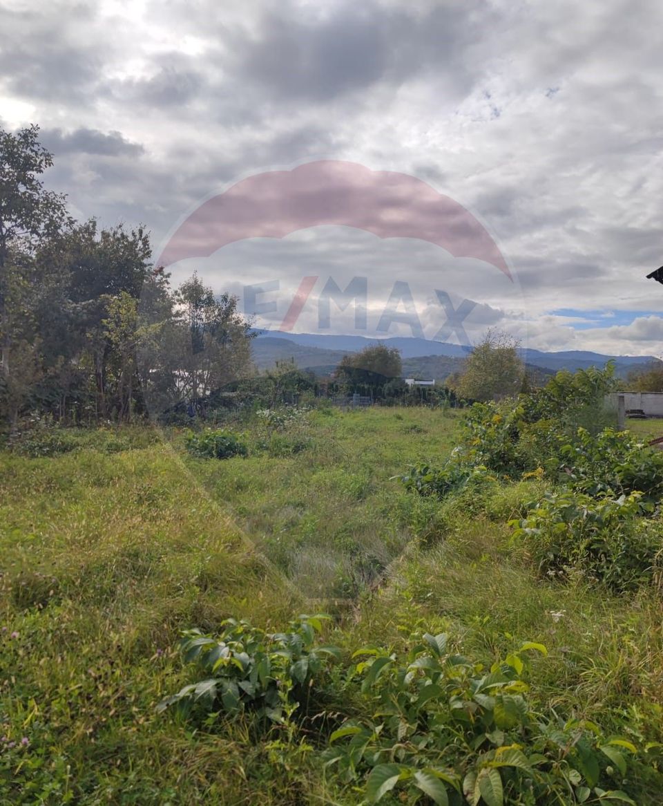 Land 1,100sqm Sighetu Marmatiei / Strada Primaverii