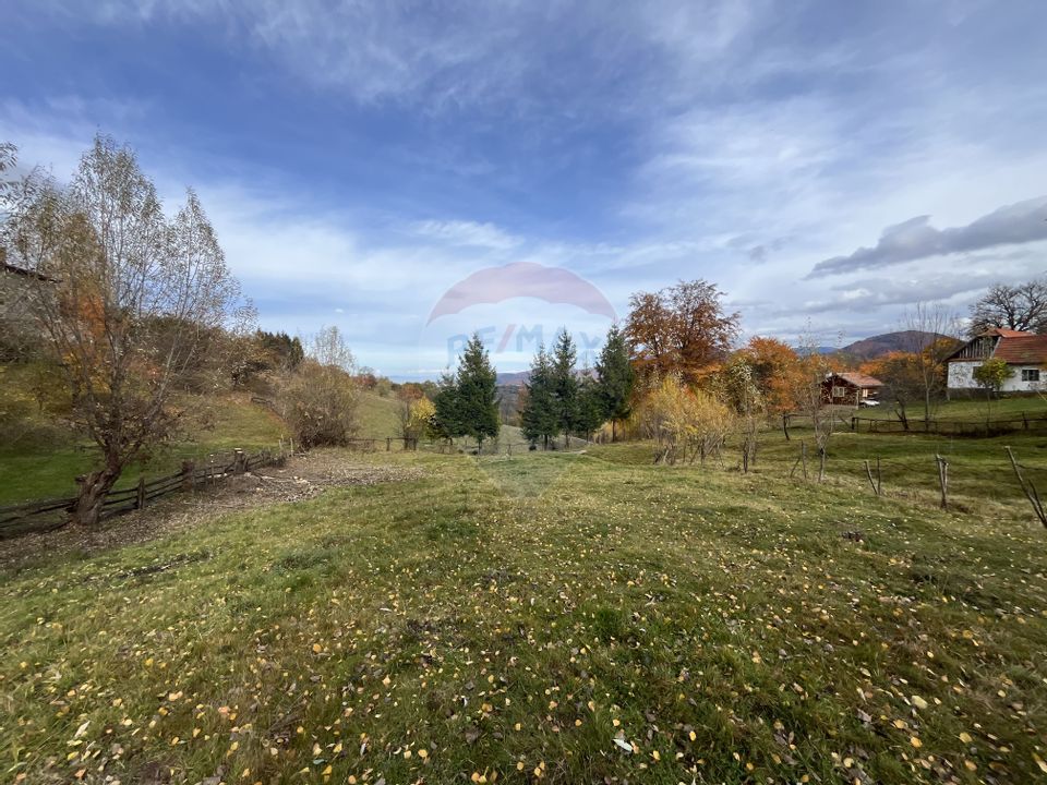 Teren de Vis în Bran – 1000mp Plat, Liniște Absolută și Aer Curat