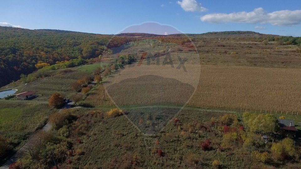 Land 2,556sqm Padureni (Chinteni) / Drumul DC147