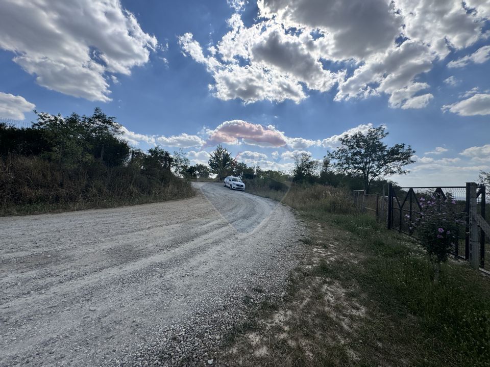 Teren  6.372mp Strs.Piersicilor/Str.Prunilor