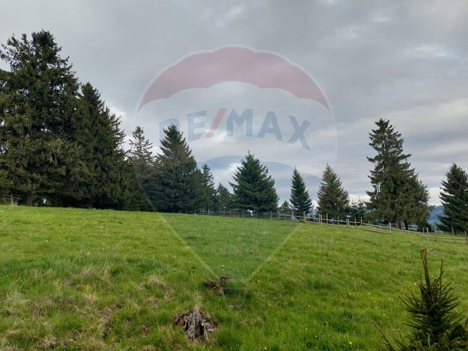 O fereastră către cer – teren de vis în Fundata, la poalele Bucegilor