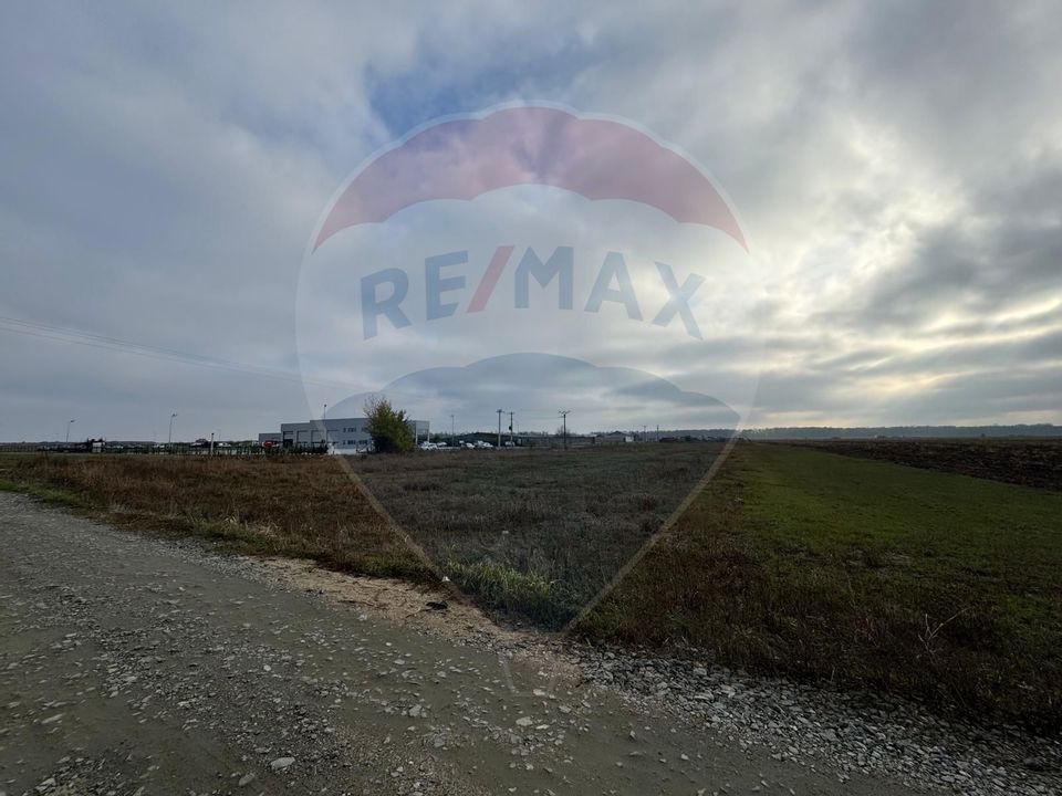Land 1,000sqm Vladimirescu / Strada Padurii