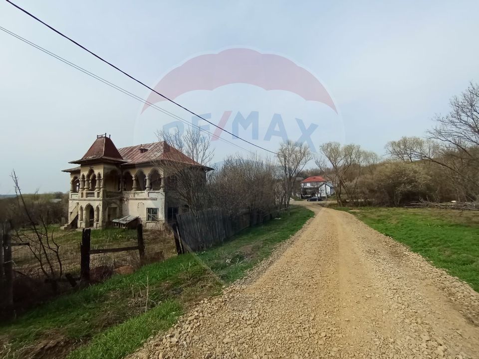 Conac Brancovenesc cu Panorama Deosebita la 12 km de Craiova