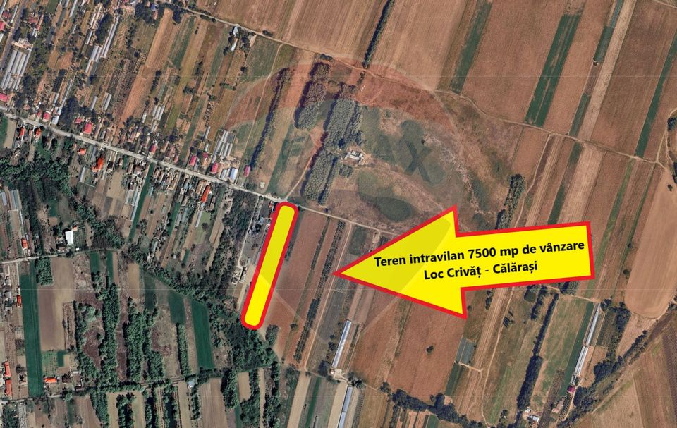 Land 7,500sqm Crivat / Strada Dulciata Ion