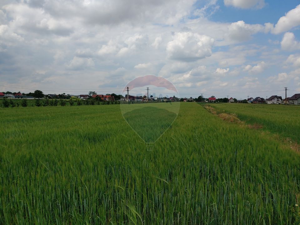 Teren intravilan 6,600mp Dumbraveni / Strada Principala spre Veresti
