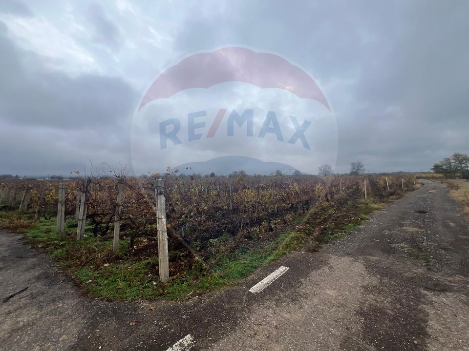 Teren intravilan 2727mp Carligele / Strada Tulceanu