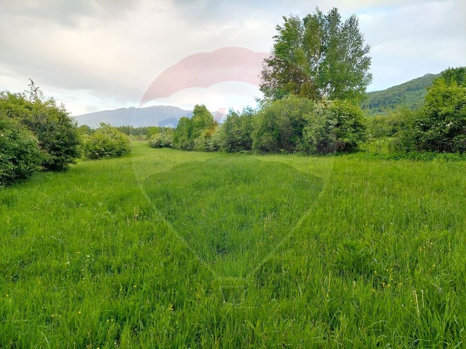 Land 4,223sqm Zarnesti / Strada Tohanita