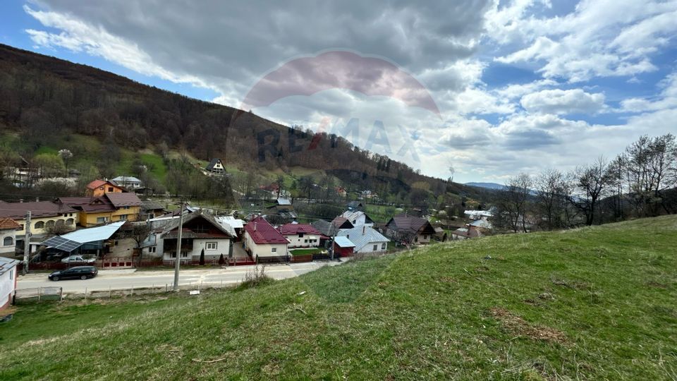 Teren generos, dar ieftin, in Nămăești - Argeș