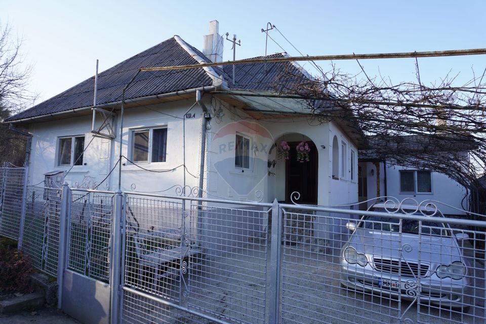 Proprietate cu 2 Case și Teren Generos – Str. Câmpu Negru