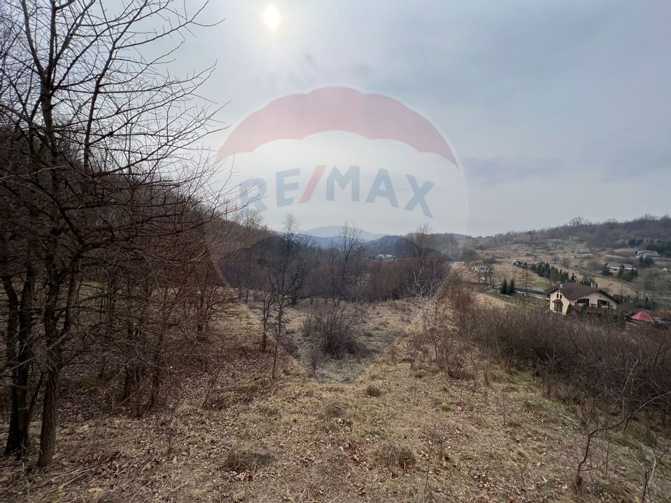 Land 500sqm Margineni / None